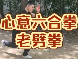 Download Video: 神龙见首不见尾