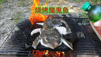 下载视频: 鱼塘里抓了一条魔鬼鱼，放石板上烧烤一下，撒上各种调料真好吃