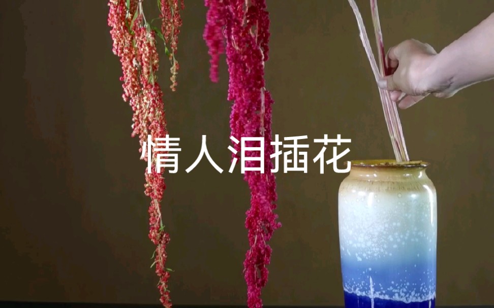 泪眼问花花不语,乱红飞过秋千去.哔哩哔哩bilibili