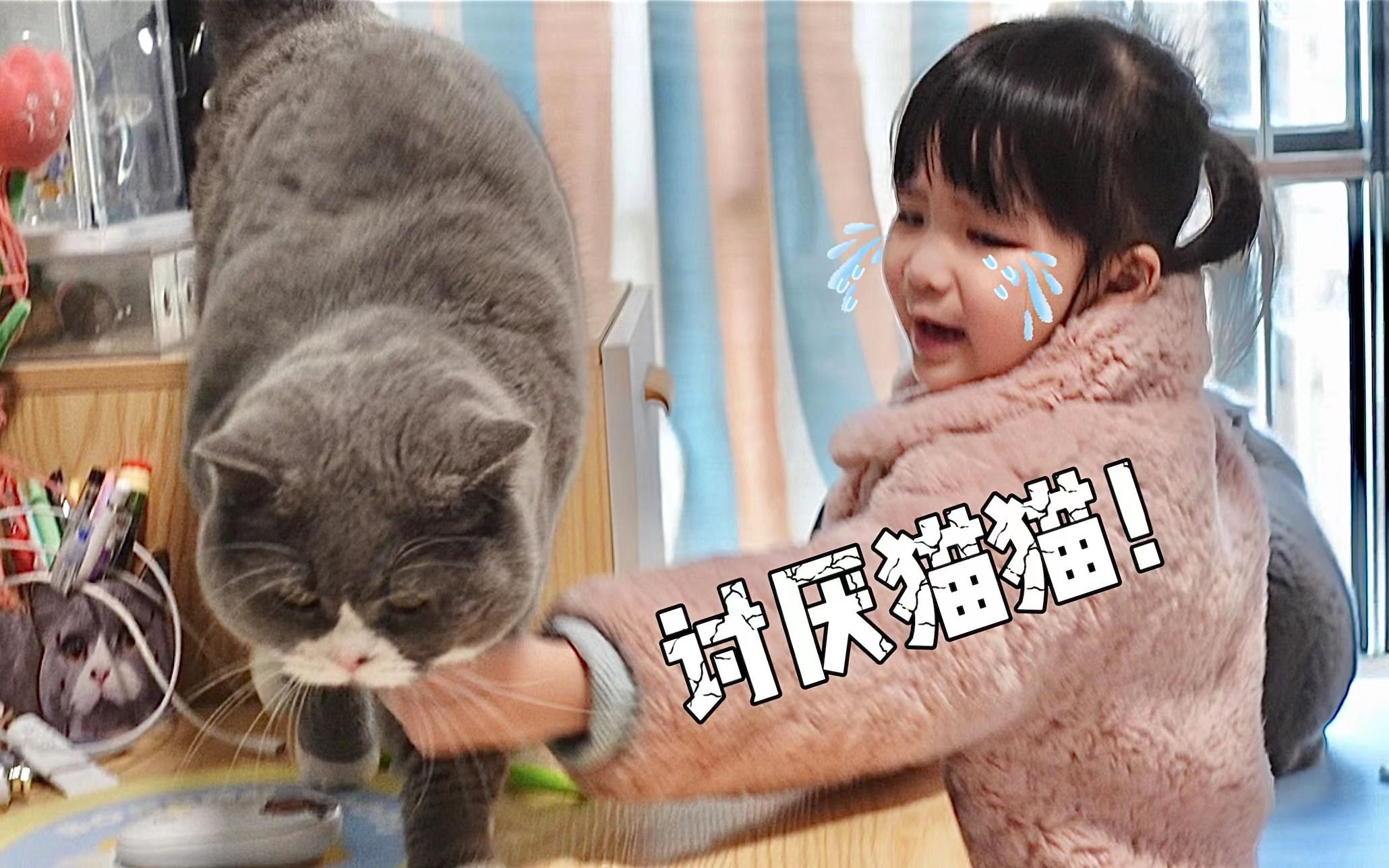 头一次看到能把小孩惹哭的猫!哔哩哔哩bilibili