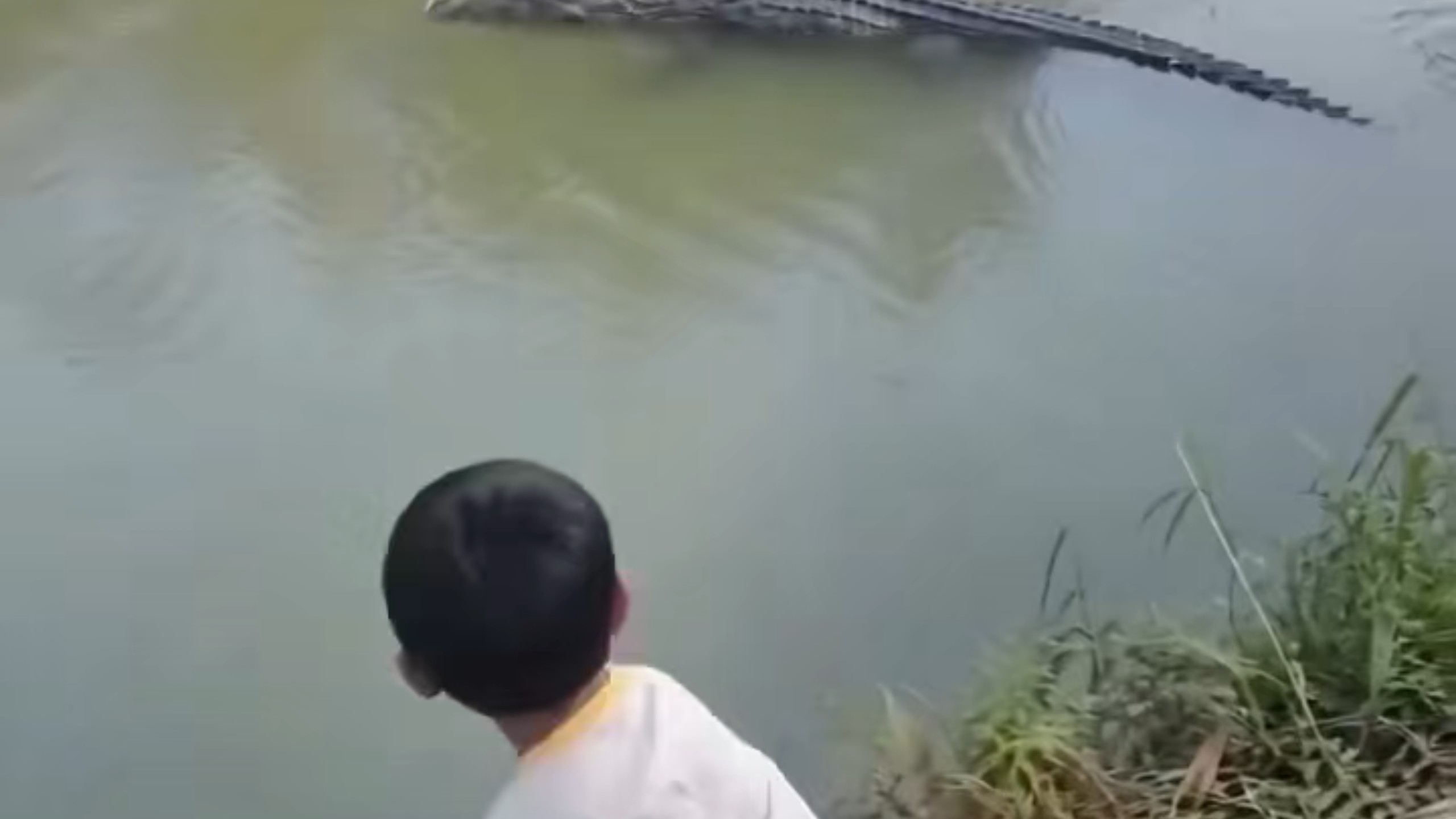 小孩用石头怒砸鳄鱼