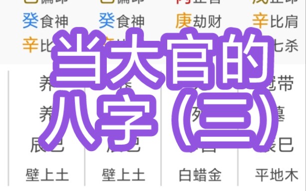 当大官的八字(三)哔哩哔哩bilibili