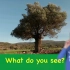 What Do You See_ Song _ Nature and Animals _ Learn 12 Words 