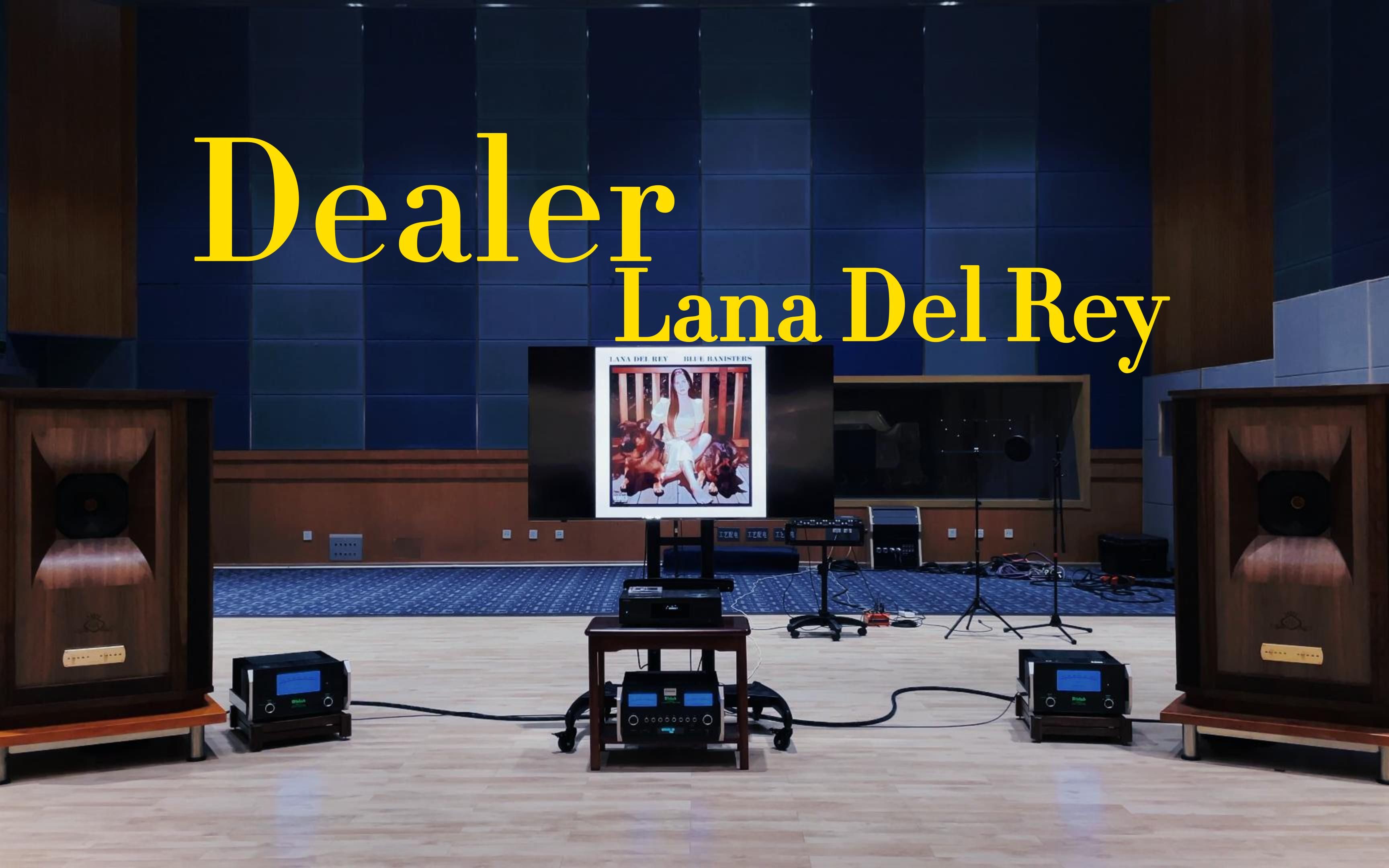 百万级豪华装备试听《Dealer》Lana Del Rey、Miles Kane【HiRes】哔哩哔哩bilibili