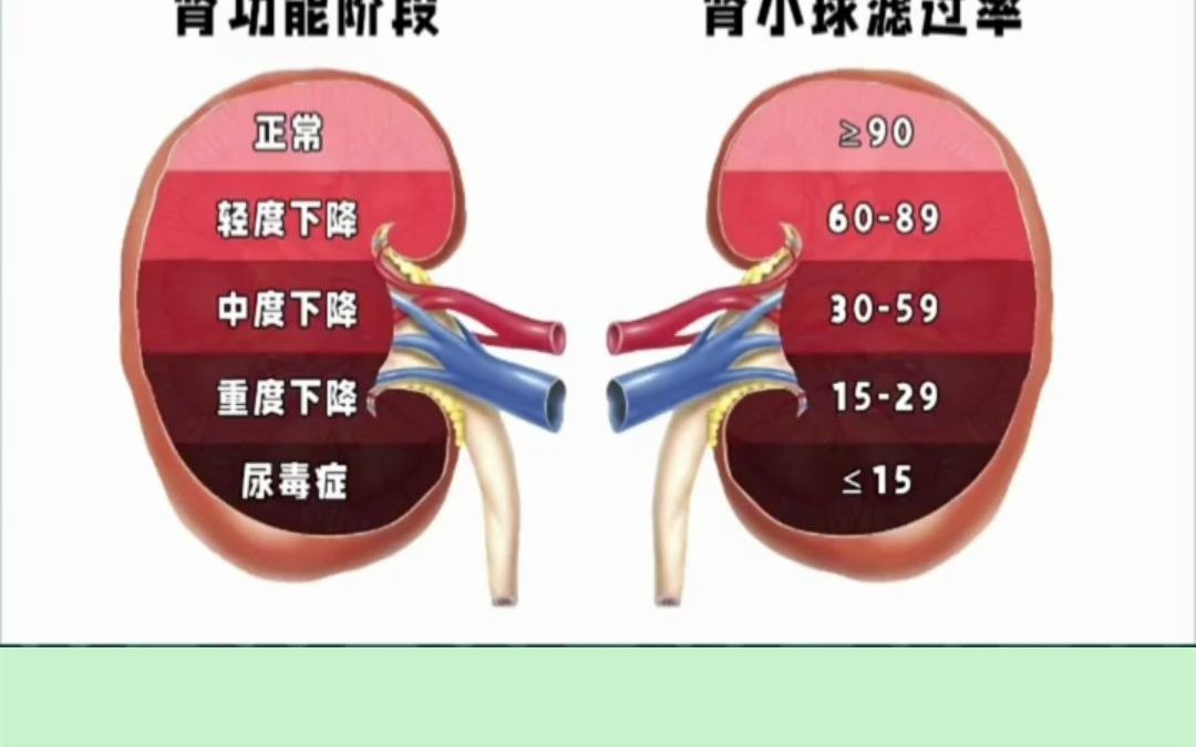 慢性肾脏病的分期表