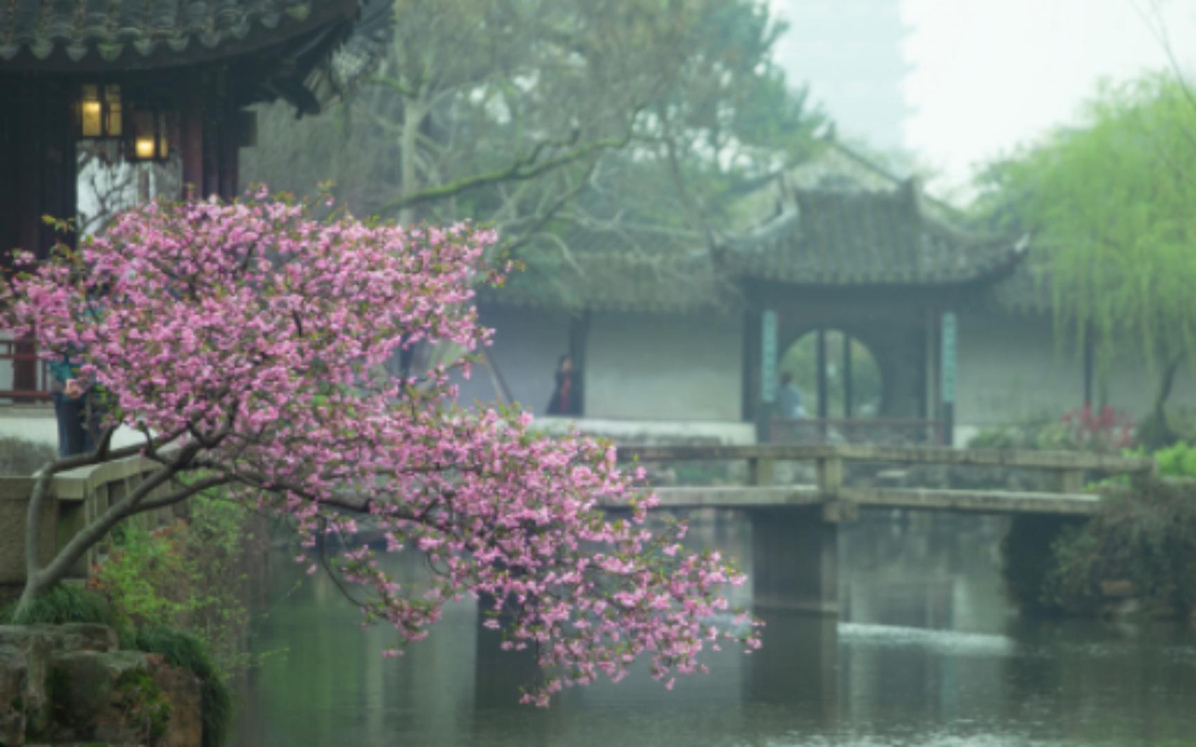 [图]江南岁月静好，故园月月有花 | 苏州园林花影集