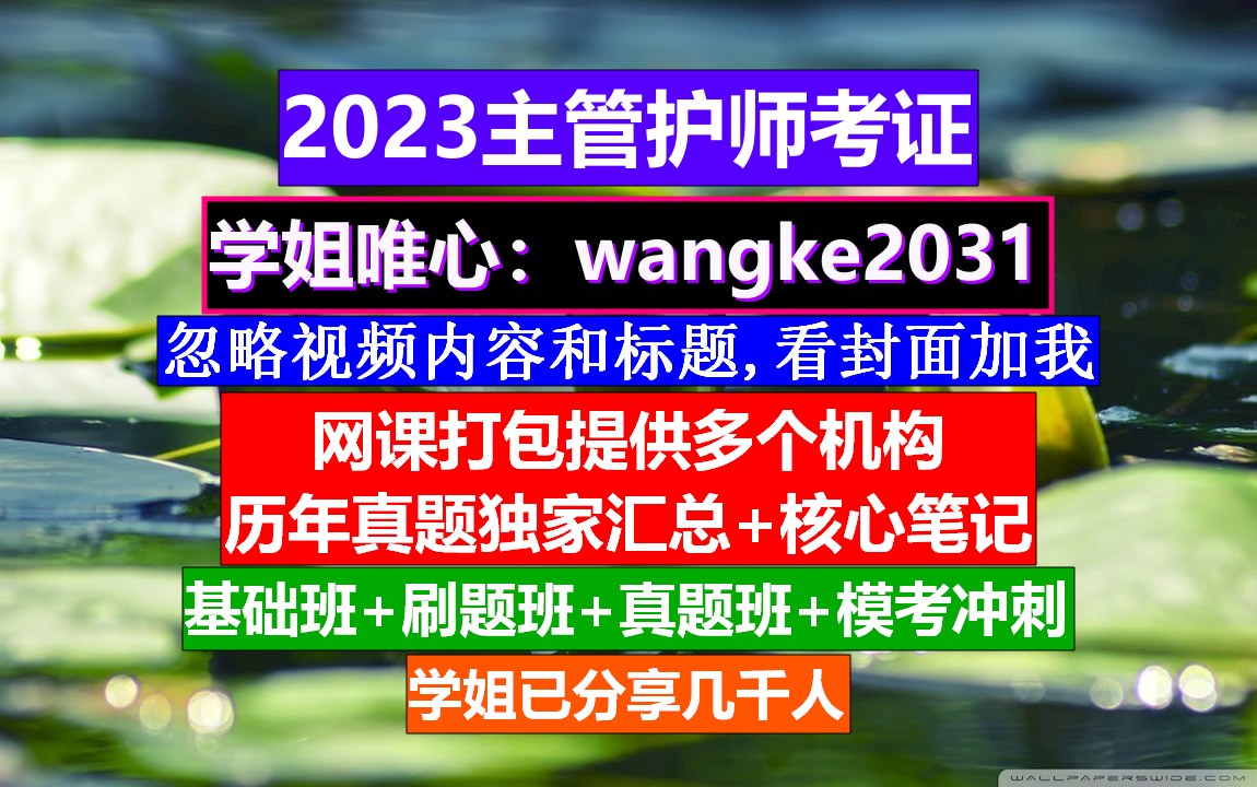 主管护师属于国家职业的几级,主管护师咨询,主管护师考试报告编号哔哩哔哩bilibili