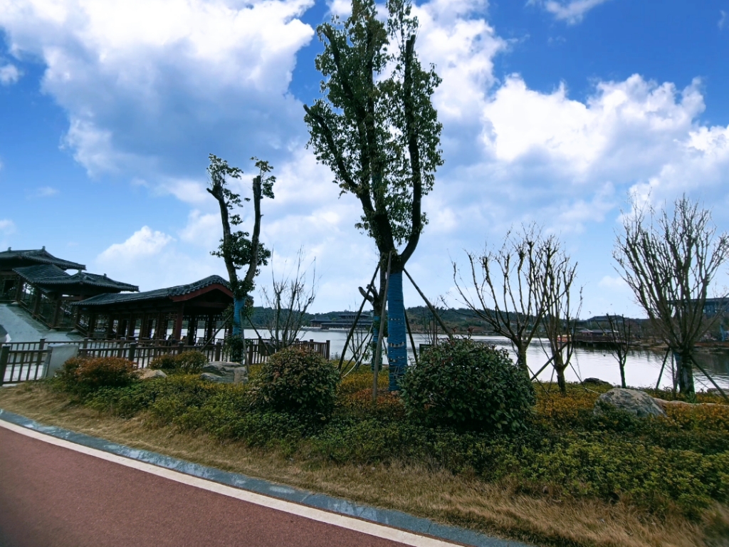 江西樟树岐黄小镇