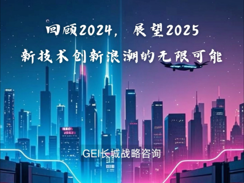 回顾2024,展望2025:新技术创新浪潮带来无限可能哔哩哔哩bilibili