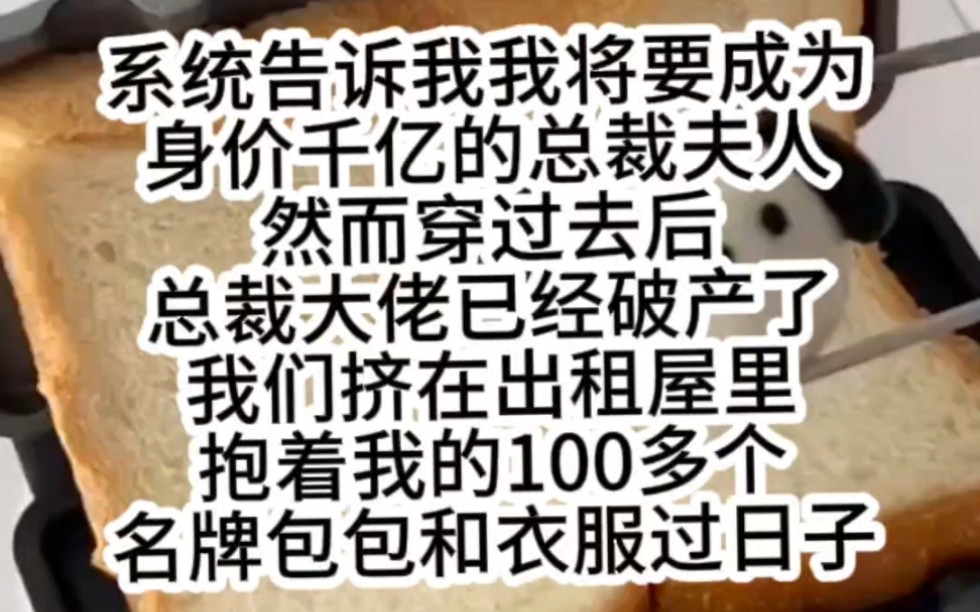 [图]系统告诉我我将要成为身价千亿的总裁夫人然而穿过去后总裁大佬已经破产了我们挤在出租屋里抱着我的100多个名牌包包和衣服过日子