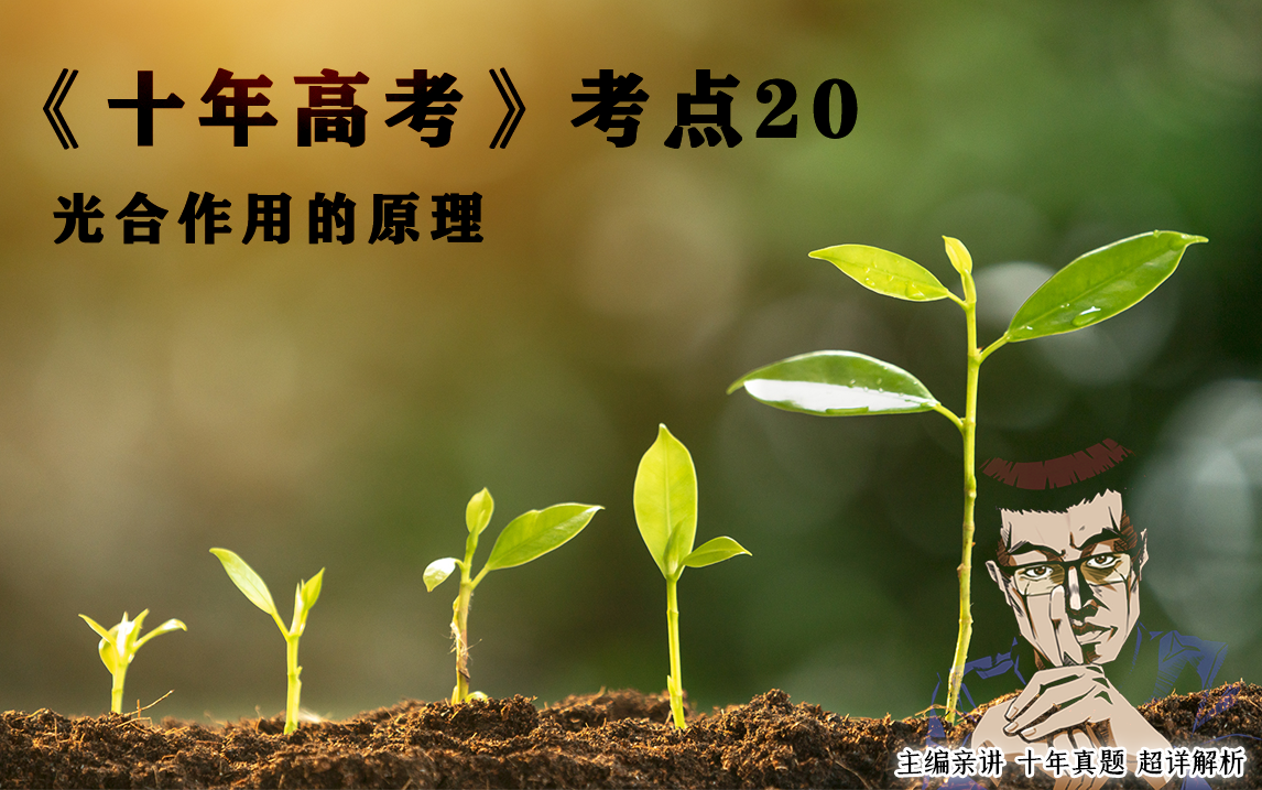 【考点20:光合作用的原理,暂完结】别搜题了,十年生物高考真题都在这了哔哩哔哩bilibili