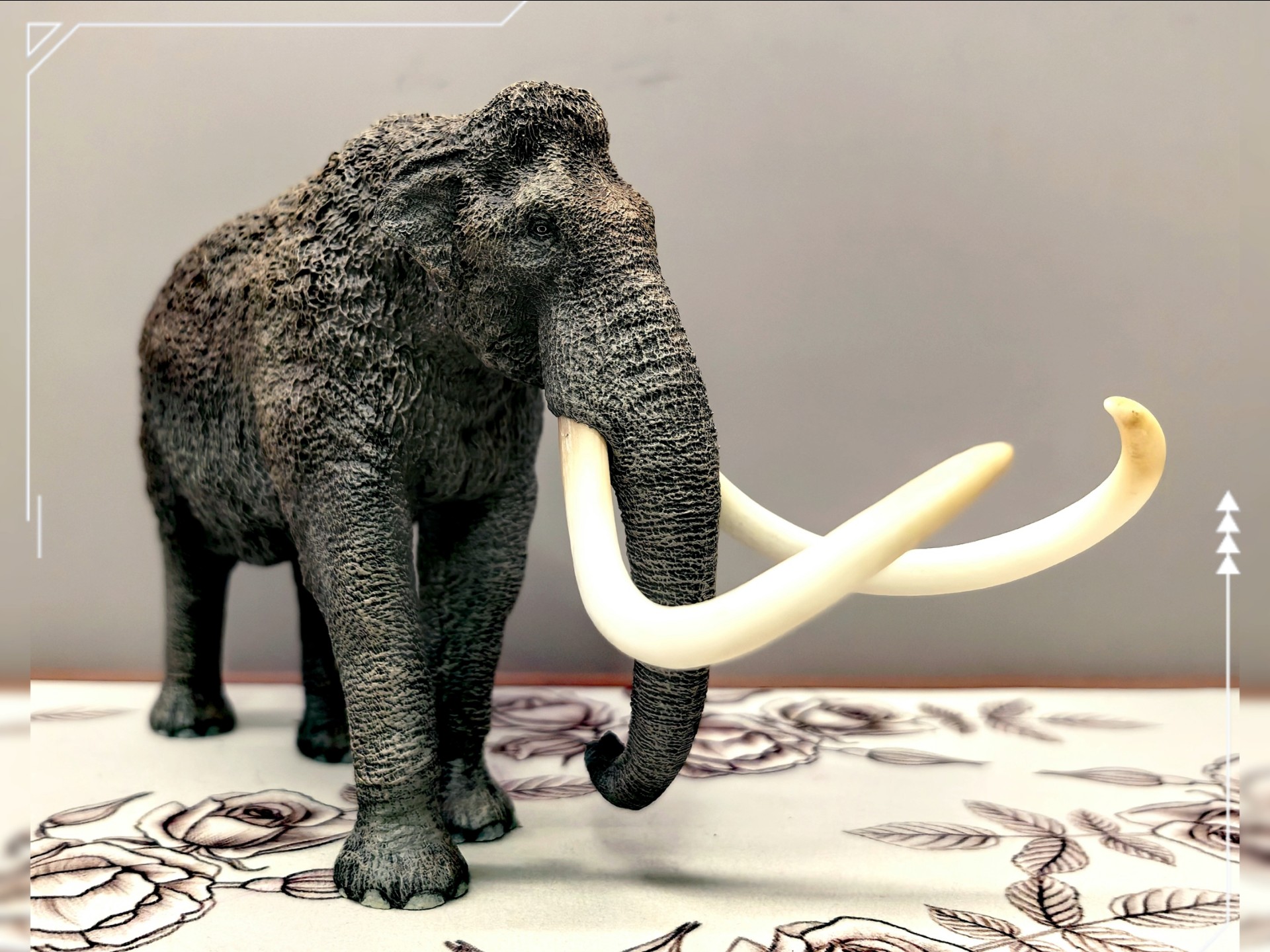 1:35草原猛犸mammuthus trogontherii