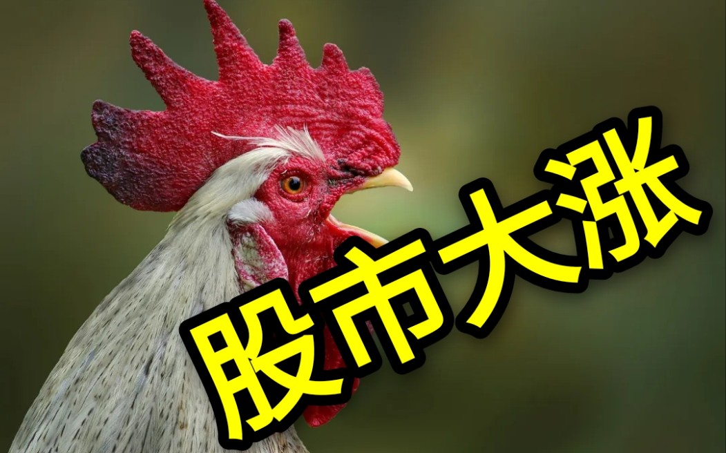 股票市场暴涨,中概互联才是真神降临!