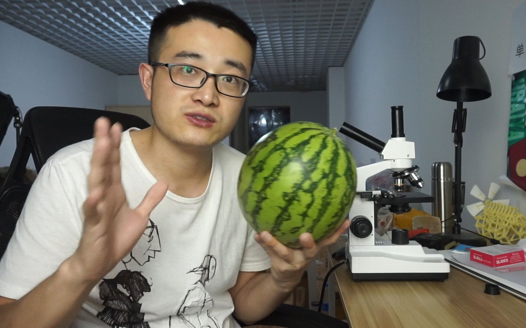 显微镜西瓜放大800倍西瓜皮上有无数像大嘴一样的气孔太震撼了