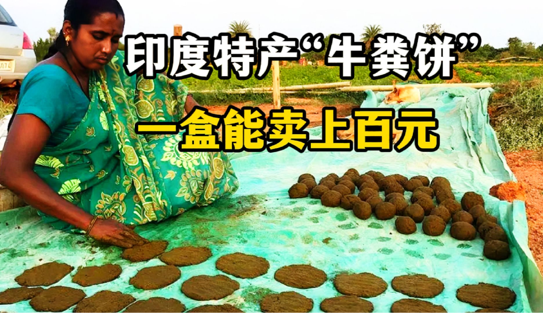 印度特产"牛粪饼",一盒能卖上百元,它到底有什么作用?