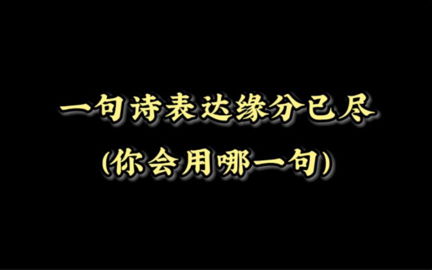 用一句诗表达缘分已尽,你会用哪一句?哔哩哔哩bilibili