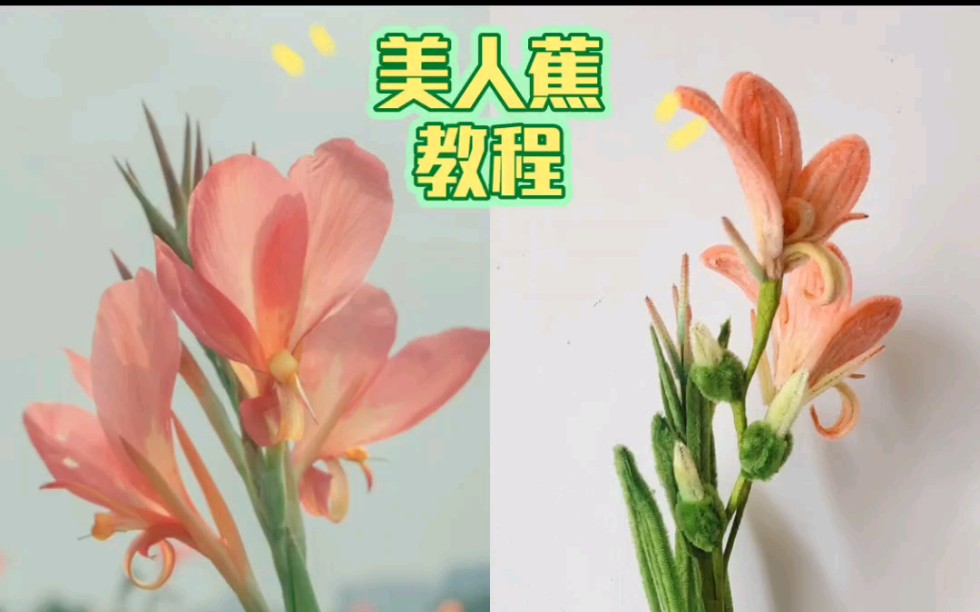 美人蕉扭扭棒教程.哔哩哔哩bilibili