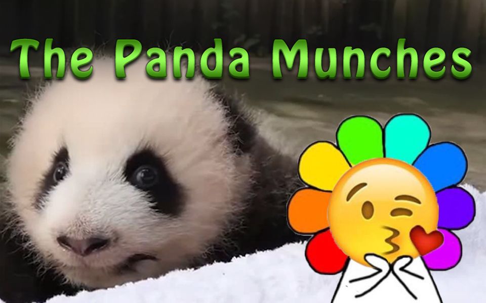 【熊猫吃竹子】The Panda Munches哔哩哔哩bilibili