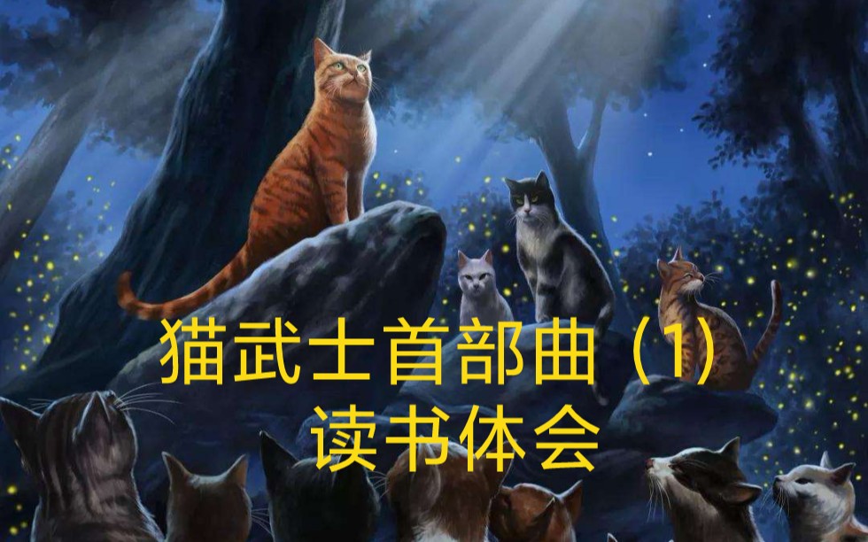 猫武士首部曲(1)一部哈利波特式的奇幻冒险动物个人成长小说.哔哩哔哩bilibili