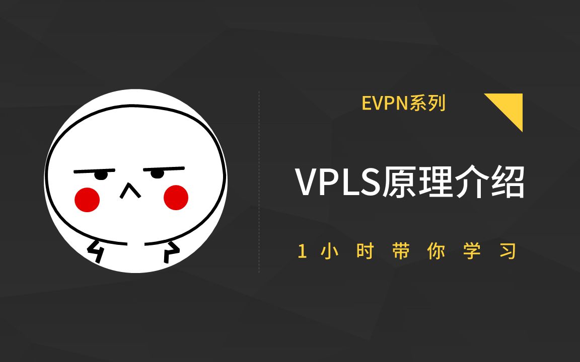 MPLS EVPN  VPLS原理介绍(1)哔哩哔哩bilibili