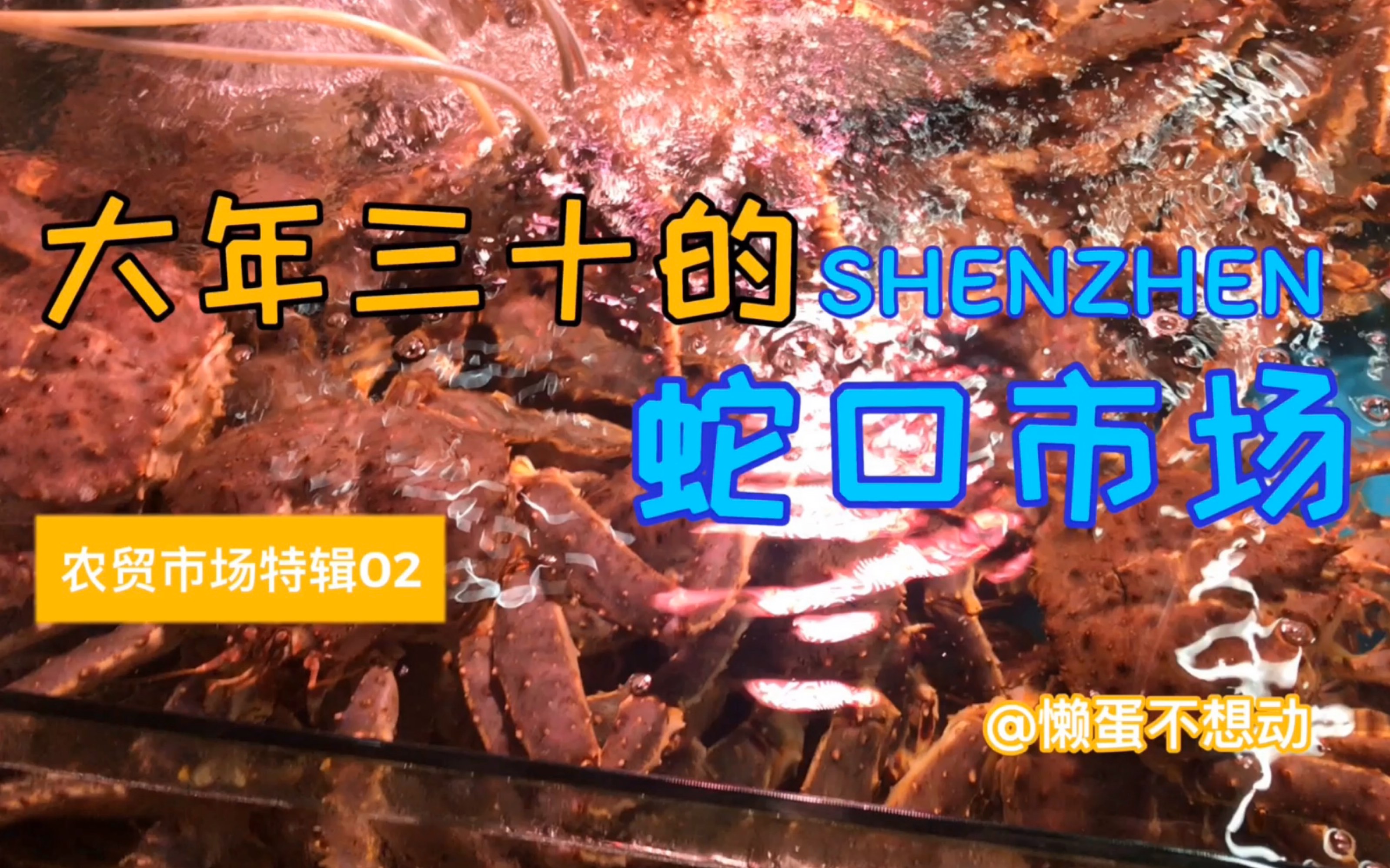 【农贸市场特辑02】大年三十的深圳蛇口市场|超大海鲜市场|广东人买菜日常|菜市场实拍|深圳人的新年回忆|美食哔哩哔哩bilibili