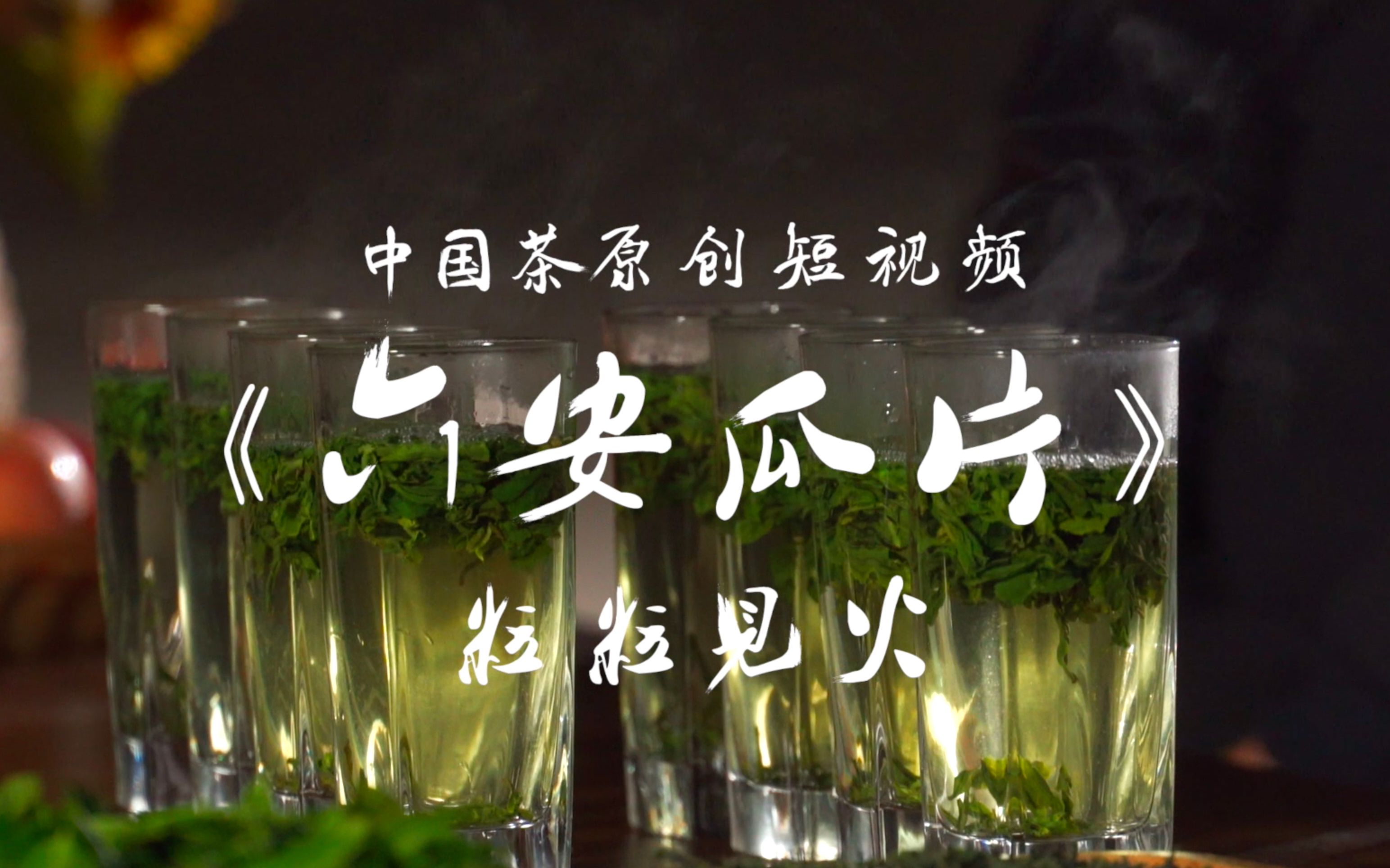 六安瓜片——粒粒见火 |《中国茶》原创短视频哔哩哔哩bilibili