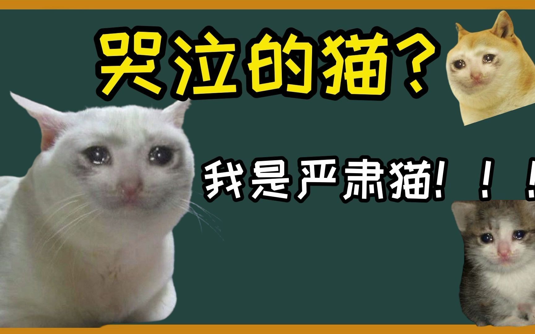 哭哭猫是什么梗?哭泣的猫的变化过程是什么?【十万出处】哔哩哔哩bilibili