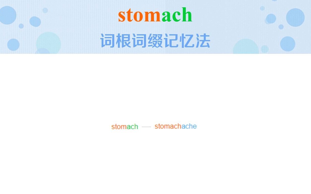 stomach英语图片