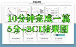 【在线科研绘图神器】教你在10分钟内完成1篇sci结果图