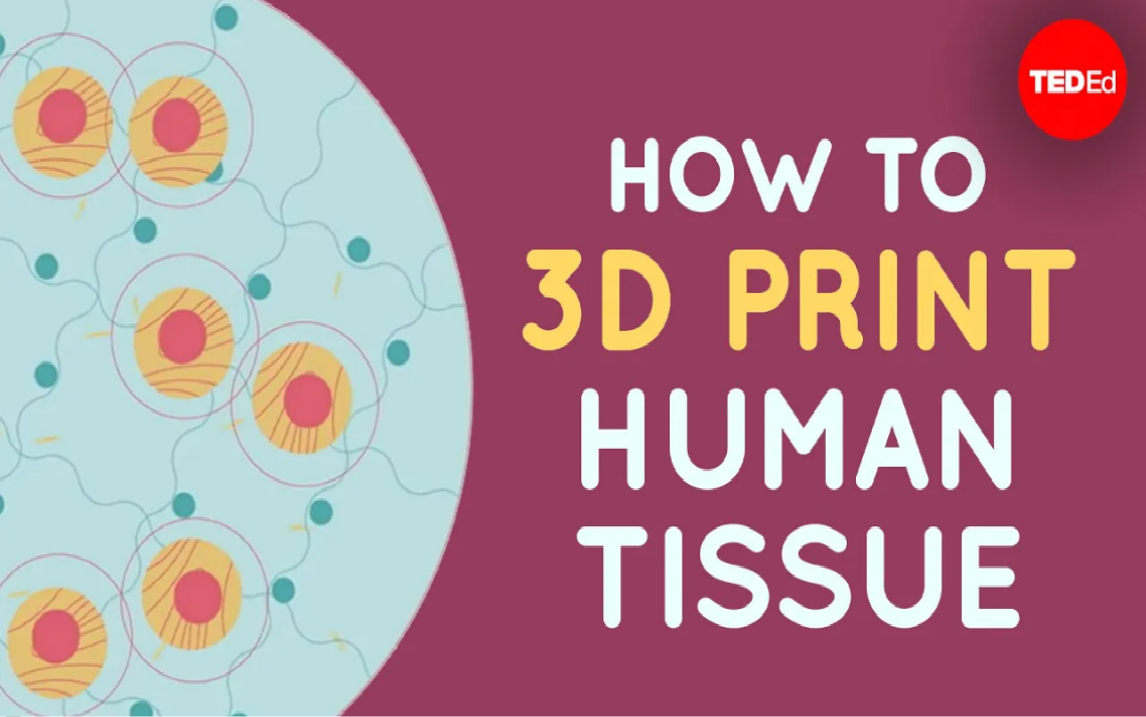 3d打印人体组织 how to 3d print human tissue | ted-ed 双语