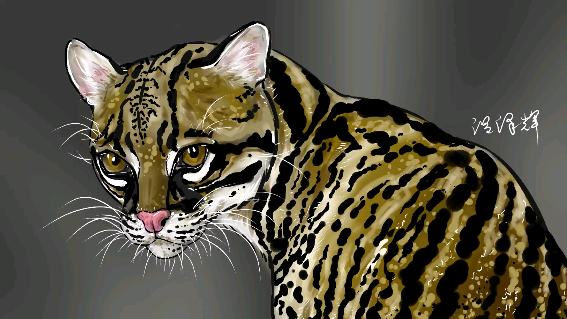 板绘虎猫的画法