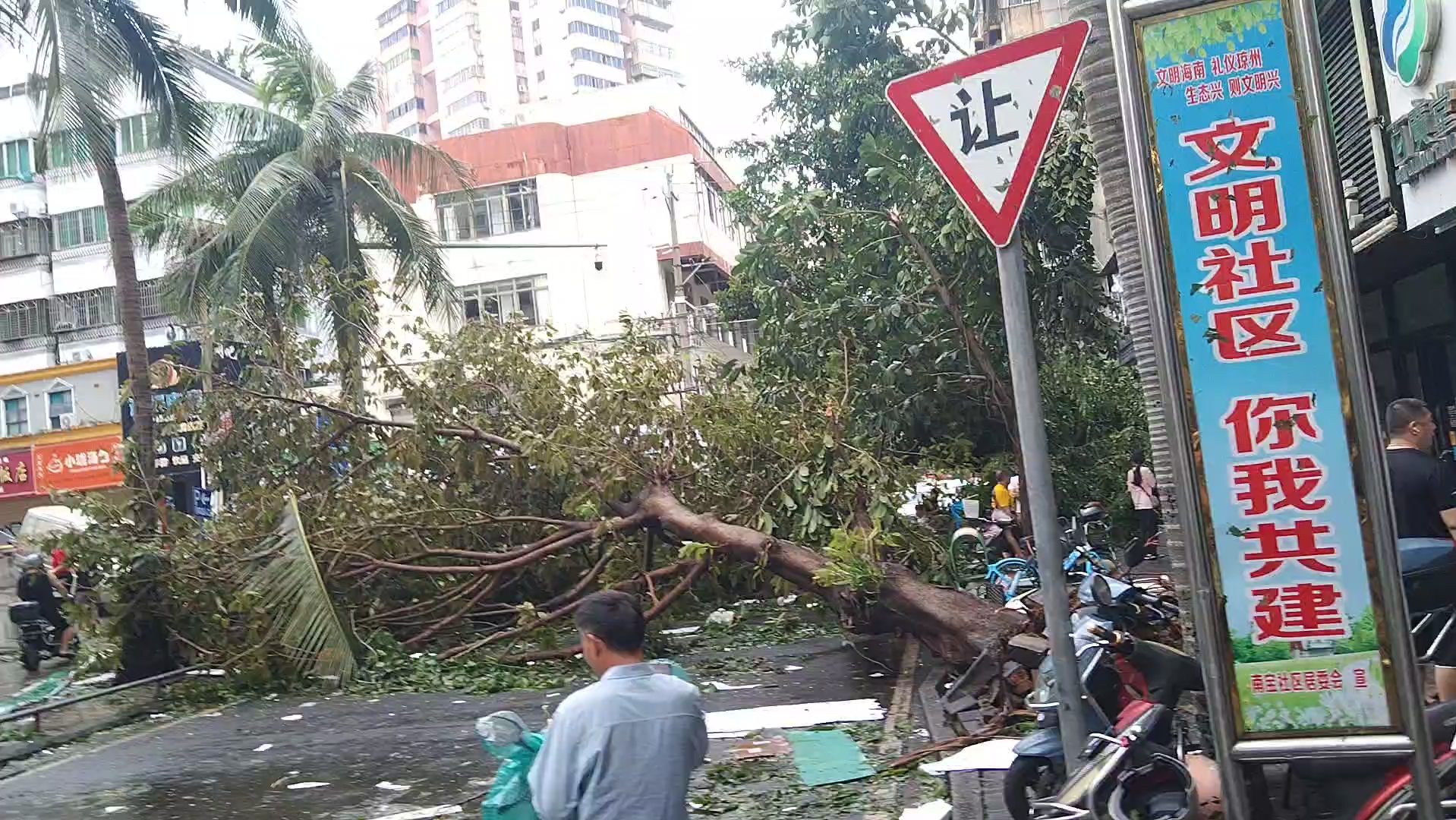 台风摩羯席卷之后的海口街道哔哩哔哩bilibili