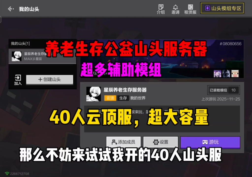 超好玩的养老生存山头服务器,公益40人云顶服