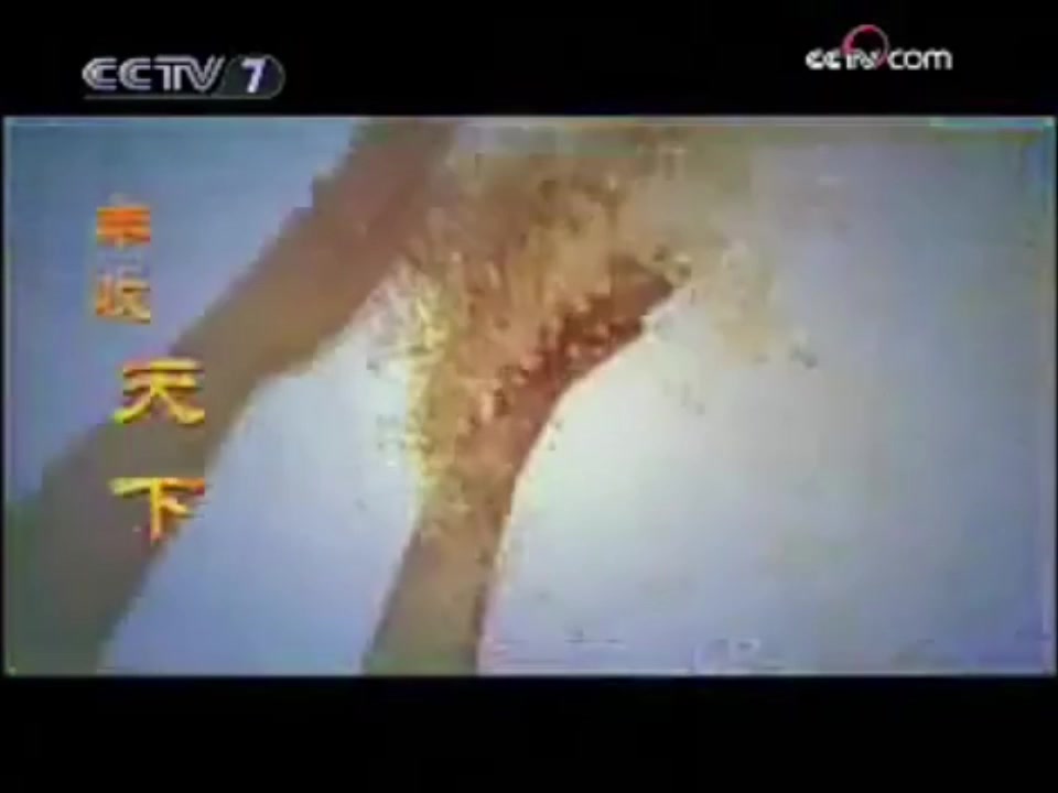 【放送文化】2008.12.9 cctv7 开台片段+广告哔哩哔哩bilibili