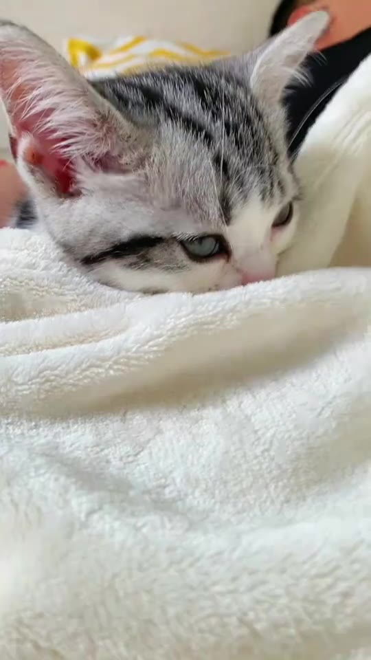 刚睡醒的小可爱来喽00