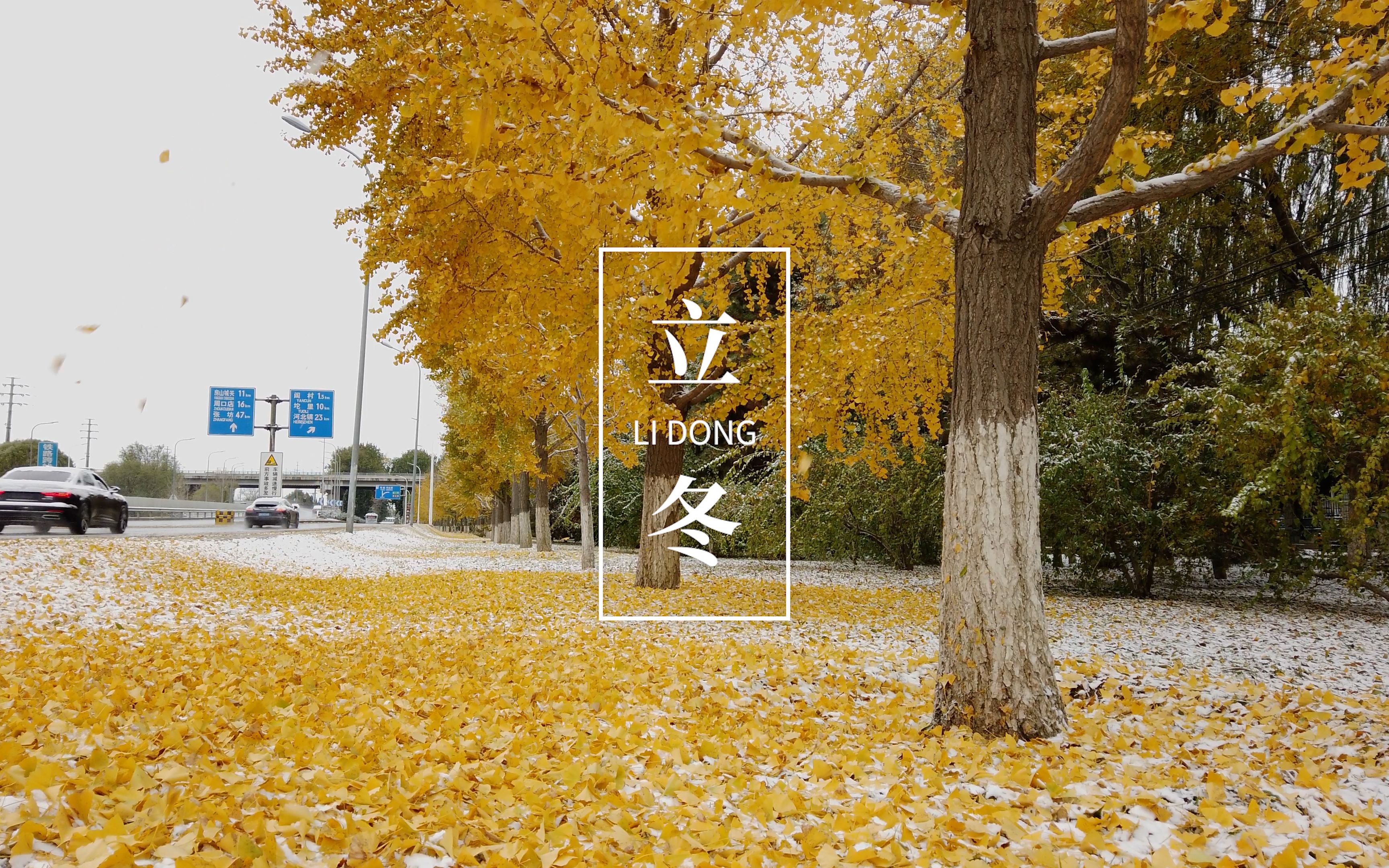活动  【4k宽荧幕】立冬 osmo pocket 大疆灵眸 北京街景 落叶随拍