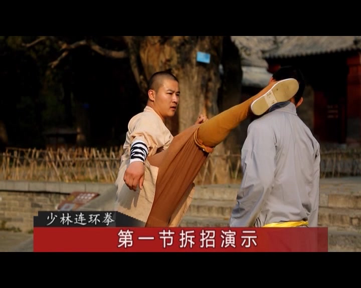 少林连环拳第一节拆招精讲视频