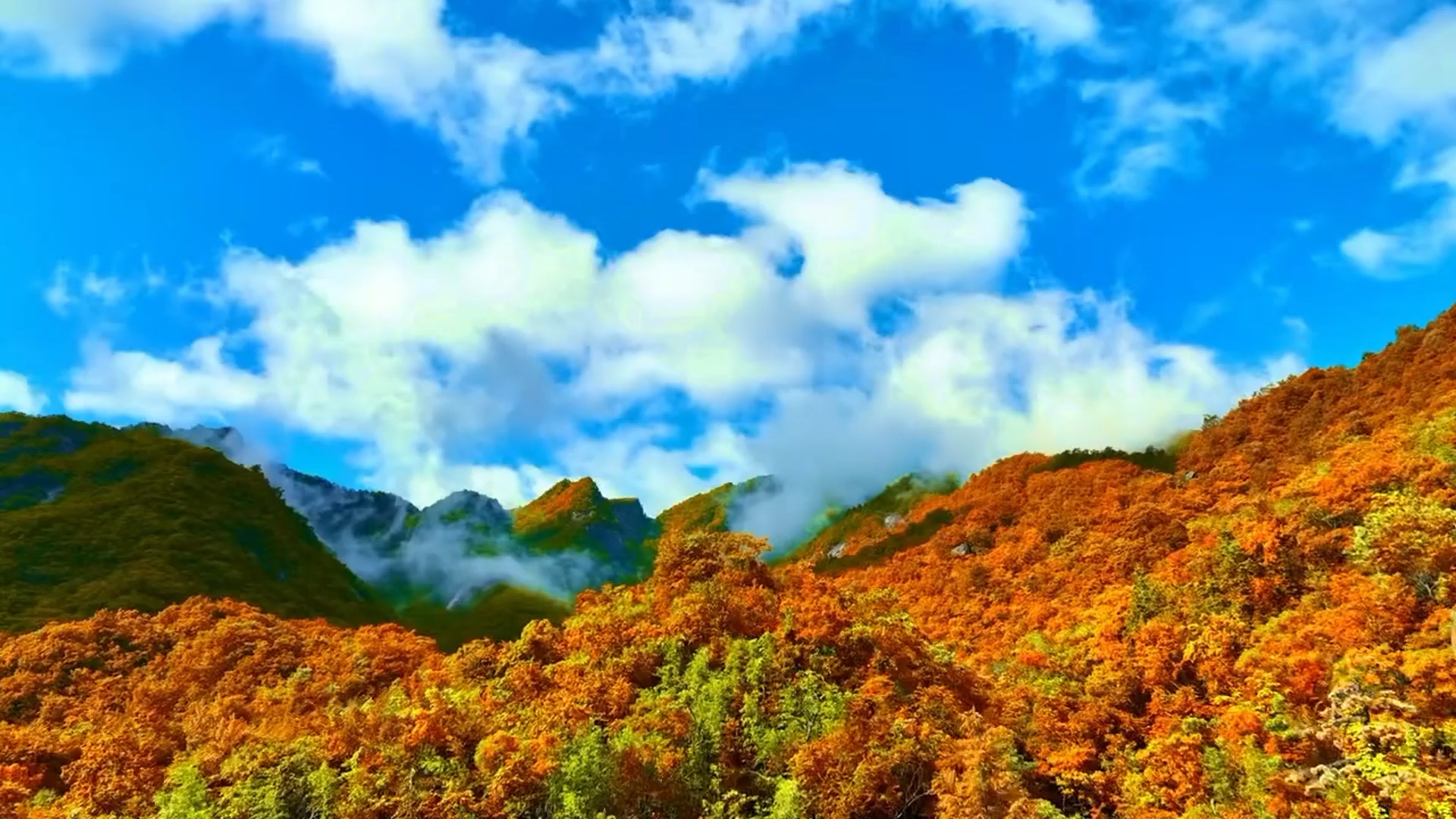 南召大宝天曼的秋天也太美了,还在等什么,秋高气爽,正是登高好时节!