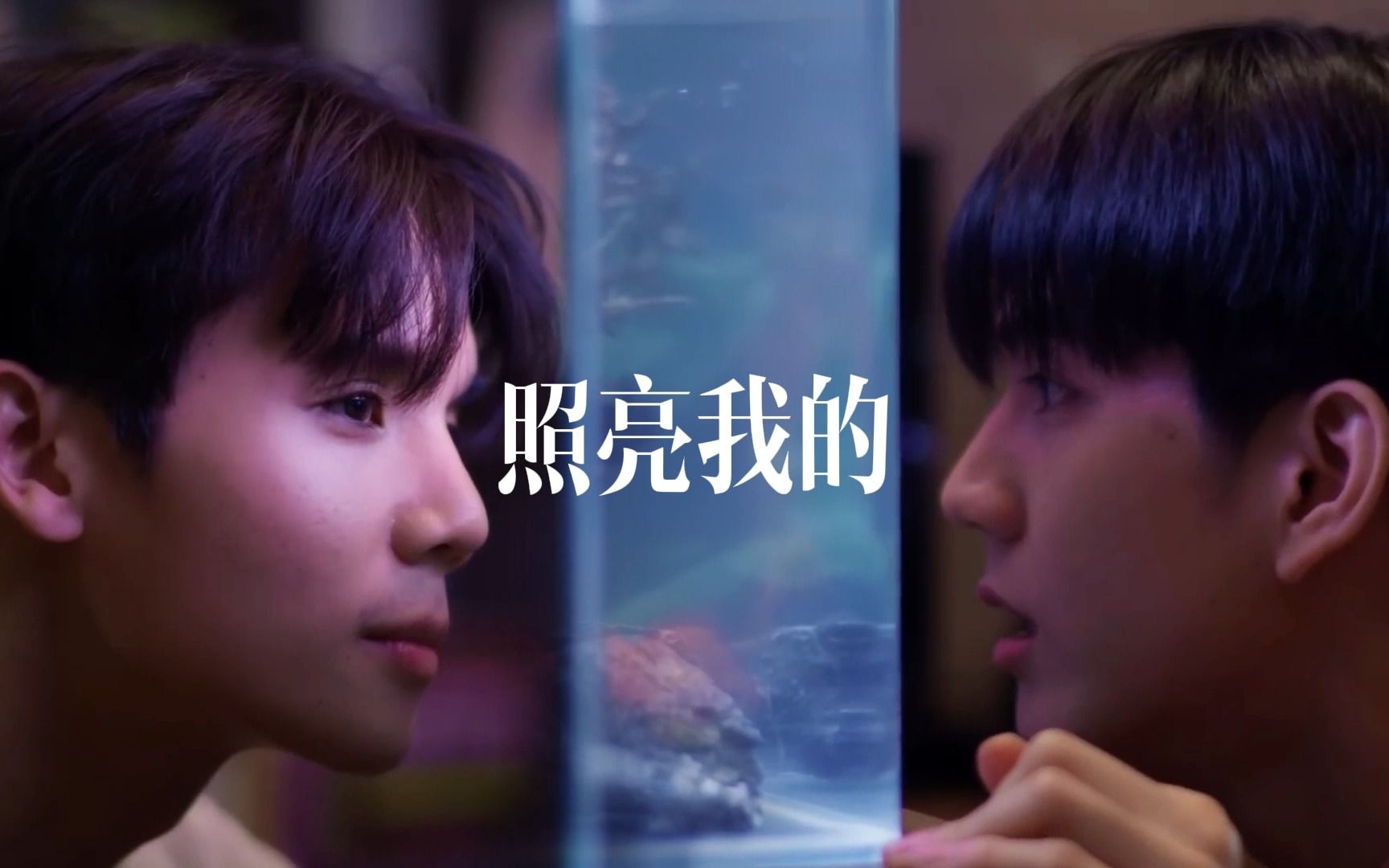 【不曾遗忘的暮色】you light up my life