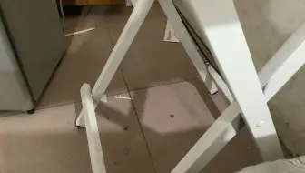 Asxdvfjjk
