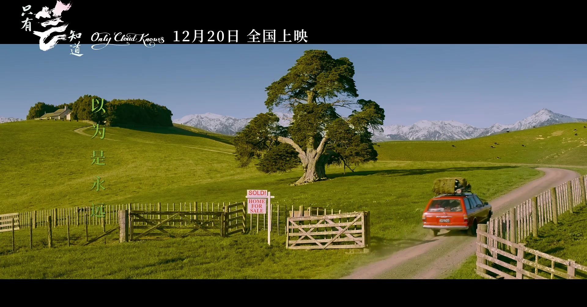 《只有芸知道》曝"一生一瞬"预告 高清1080p