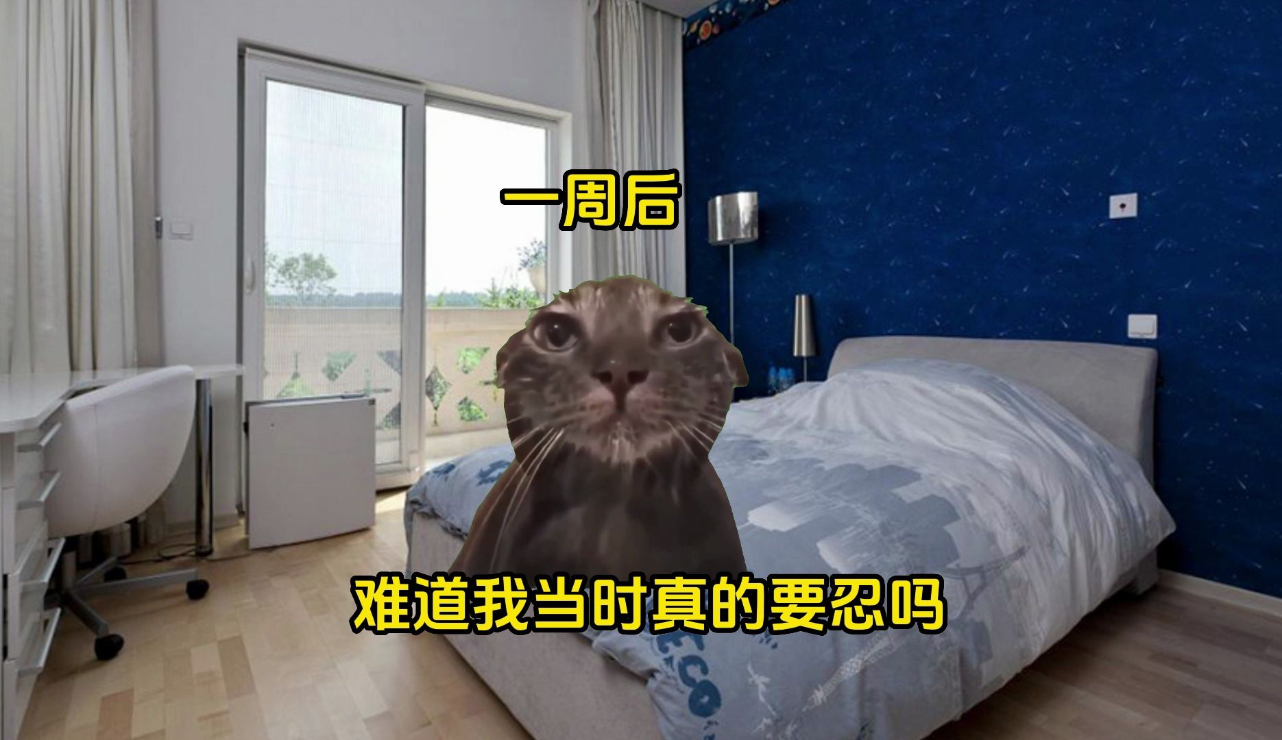 【猫meme】关于麻辣二次元女教师入职游戏公司光速转行进行人生三连跳哔哩哔哩bilibili