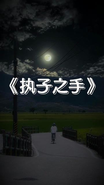 执子之手与子偕老