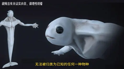 南极人造人宁恩，巨大人形海怪_哔哩哔哩_bilibili