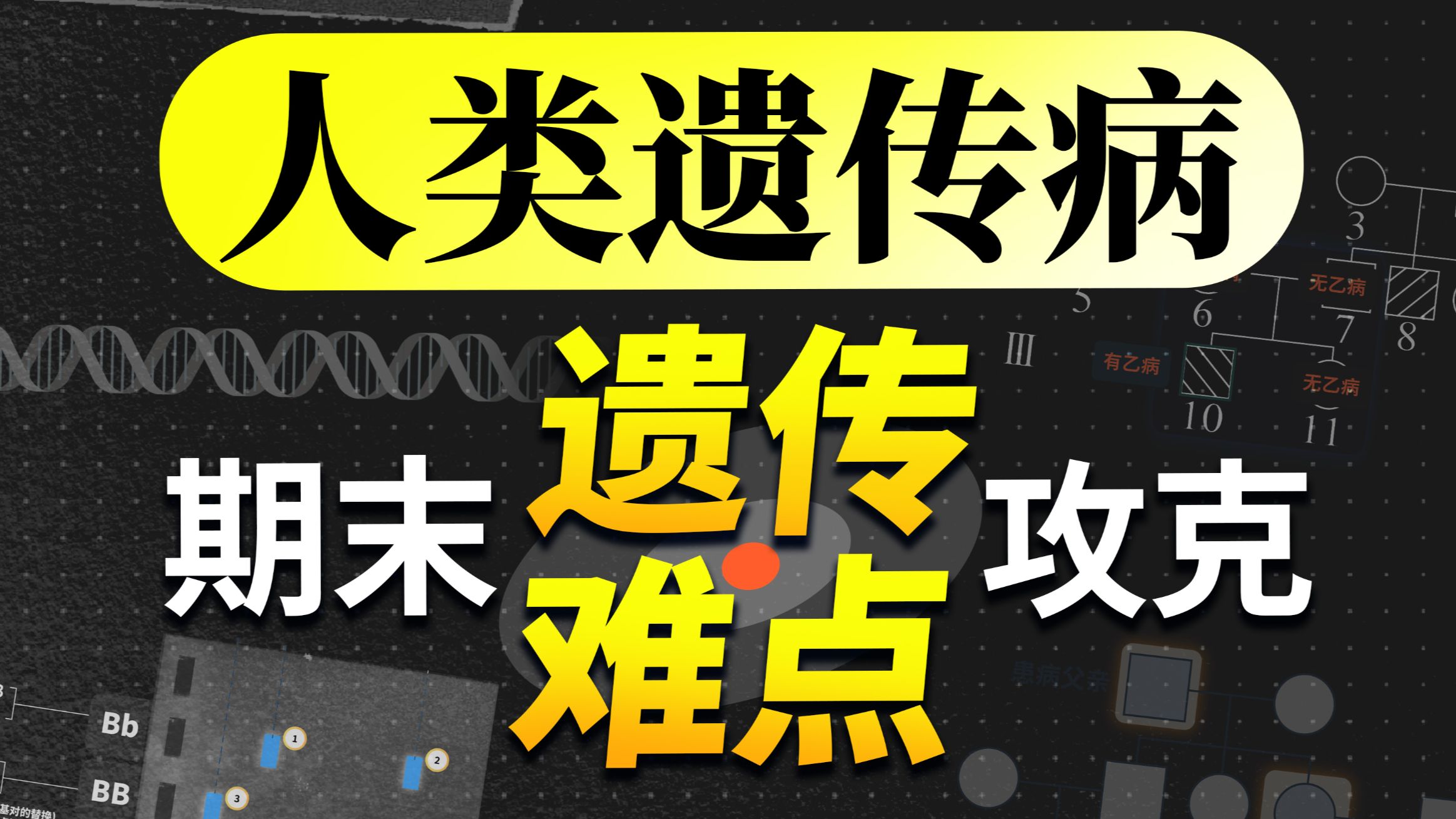 【高中生物】必修二重难点 - 人类遗传病题解单元