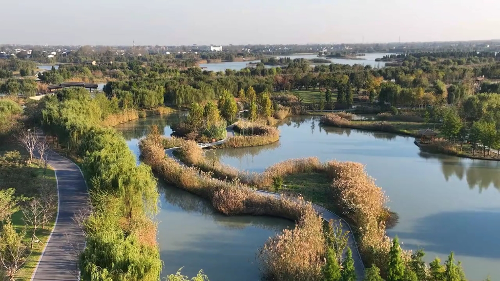 扬州三江湿地公园图片