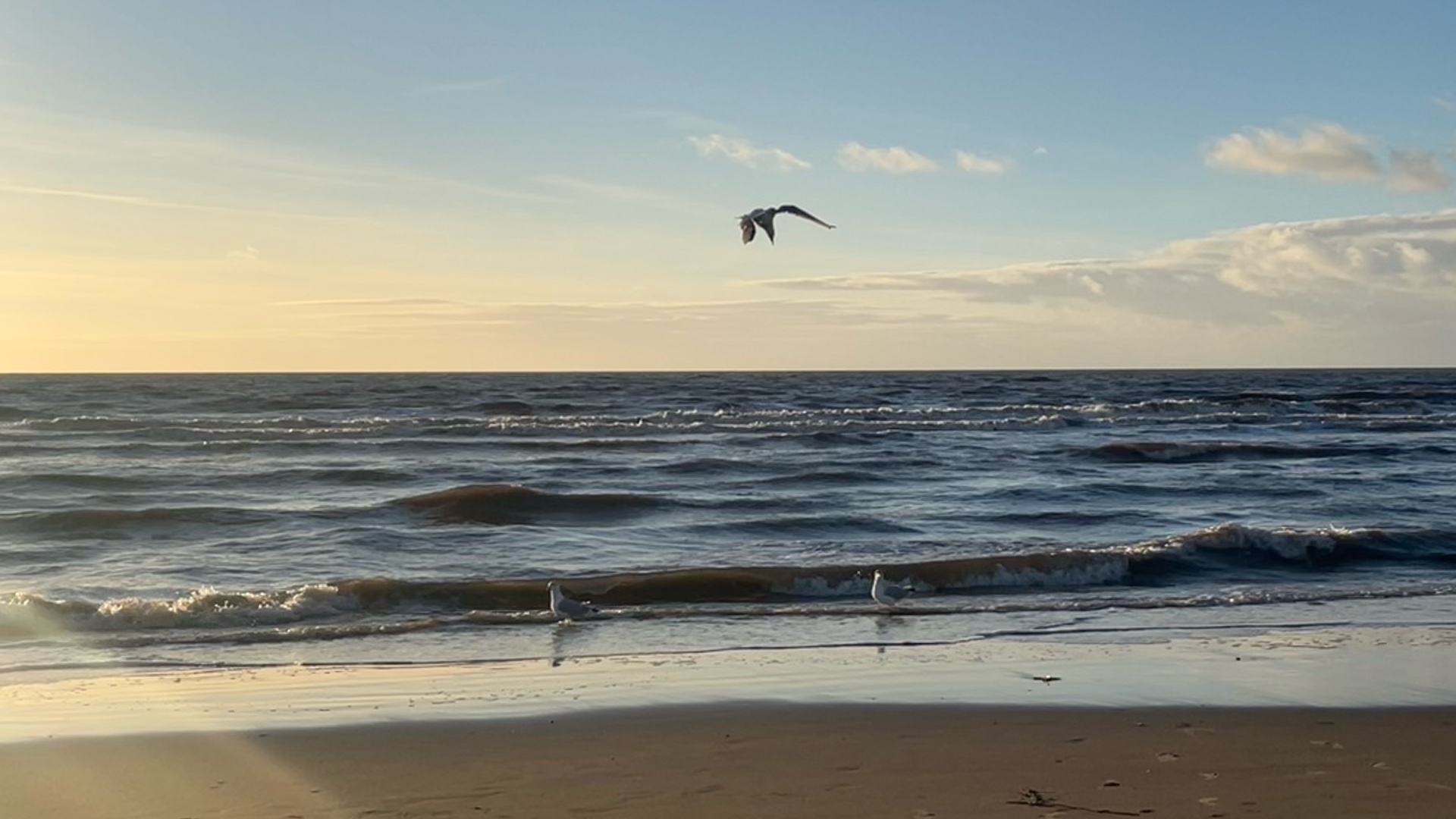 [图]和我看看风景吧｜BLACKPOOL落日下的半边海