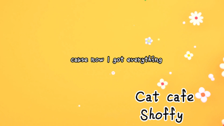 [图]日推歌单/英文/《Cat Cafe》Shoffy