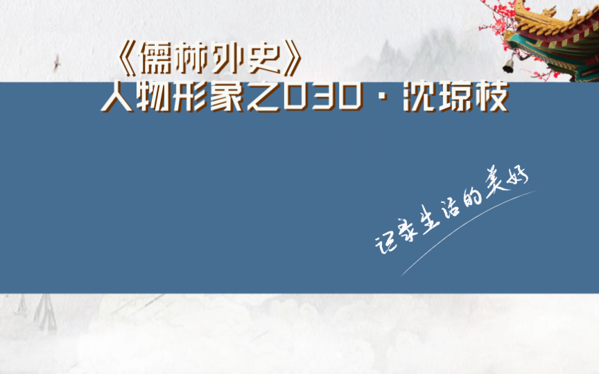 《儒林外史》人物形象之030ⷮŠ沈琼枝:女中豪杰,怕他盐商差役怎的!哔哩哔哩bilibili