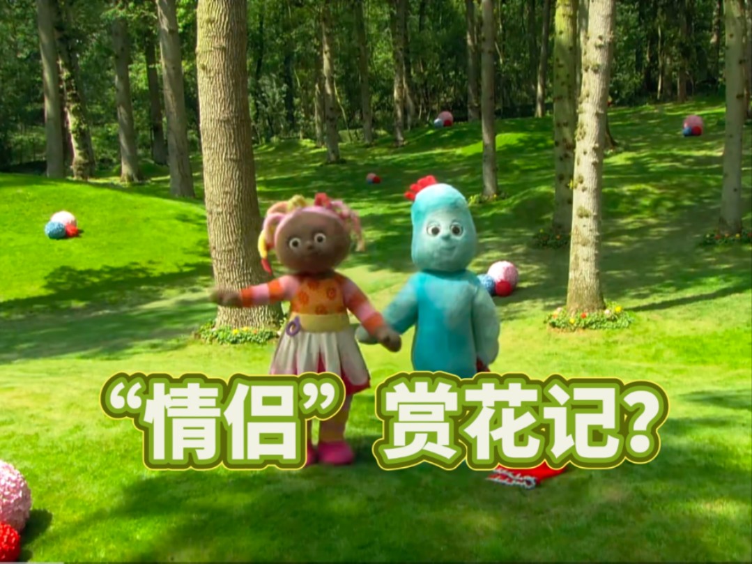 他俩真的不是情侣吗?《花园宝宝》